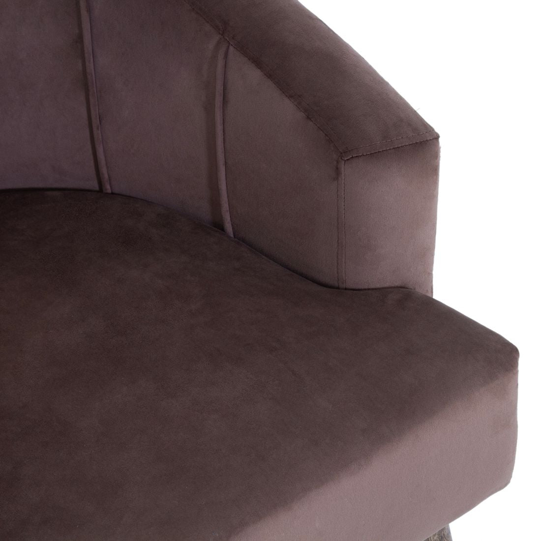 Nova Printed Velvet Chair With Arm For Living Room (Set Of 2) - Peachtree Home