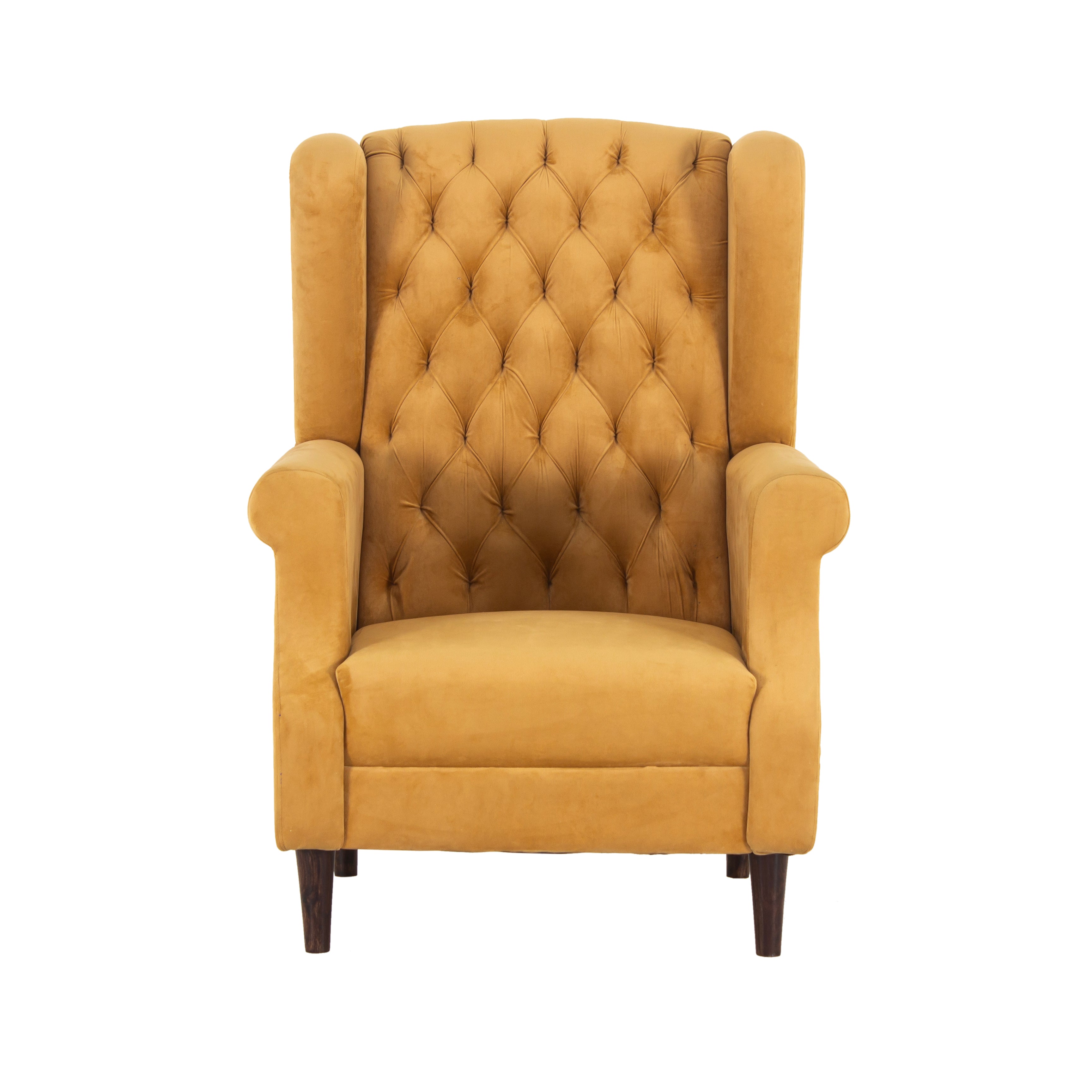 Eliza Velvet Chair With Arm For Living Room - Peachtree Home