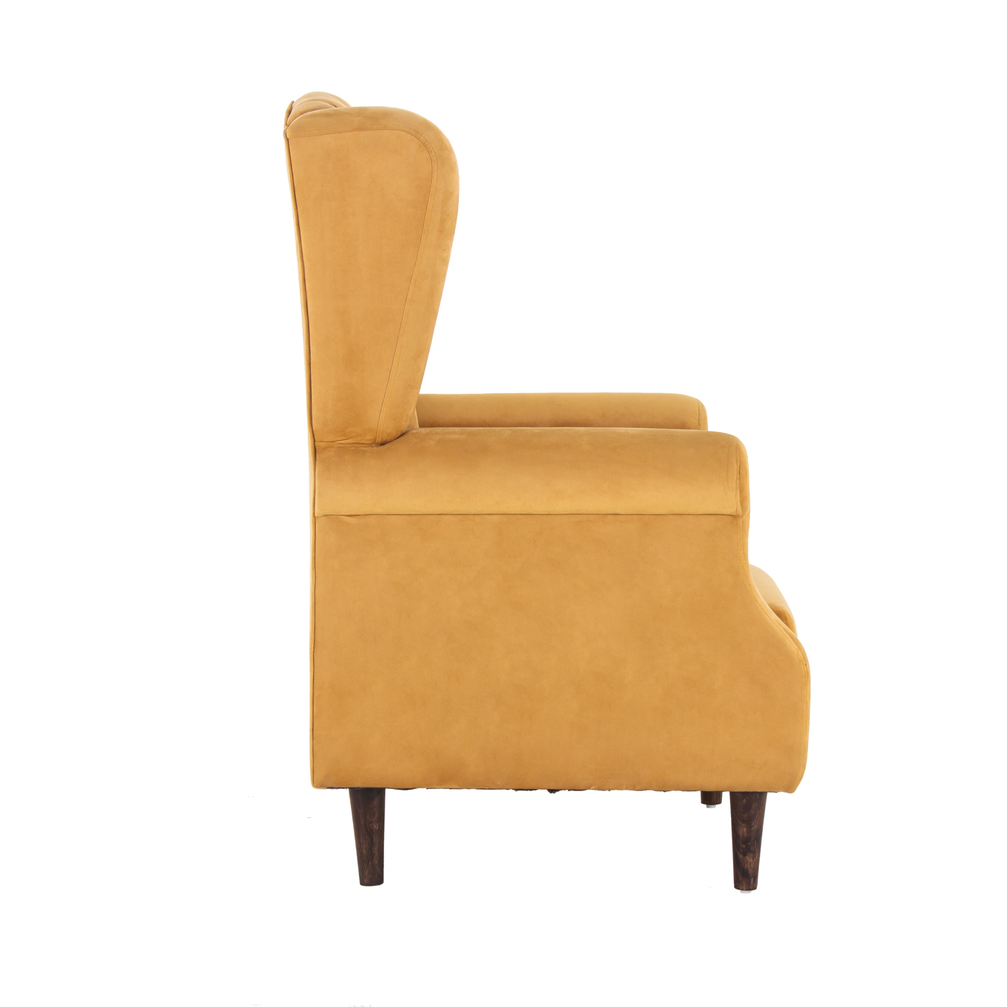 Eliza Velvet Chair With Arm For Living Room - Peachtree Home