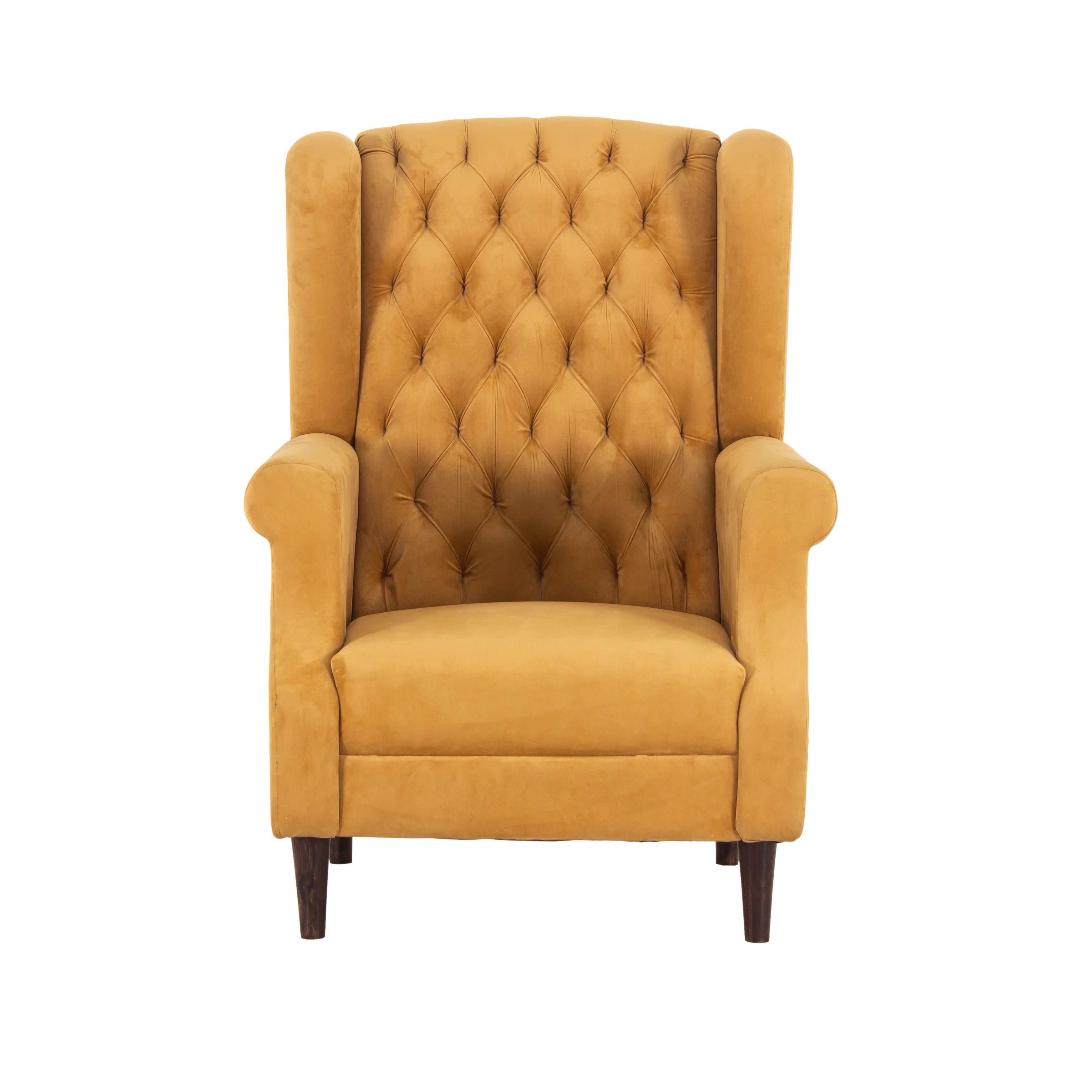 Eliza Velvet Chair With Arm For Living Room